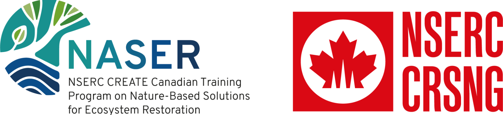 logo_naser_nserc000